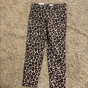 Leopard pants